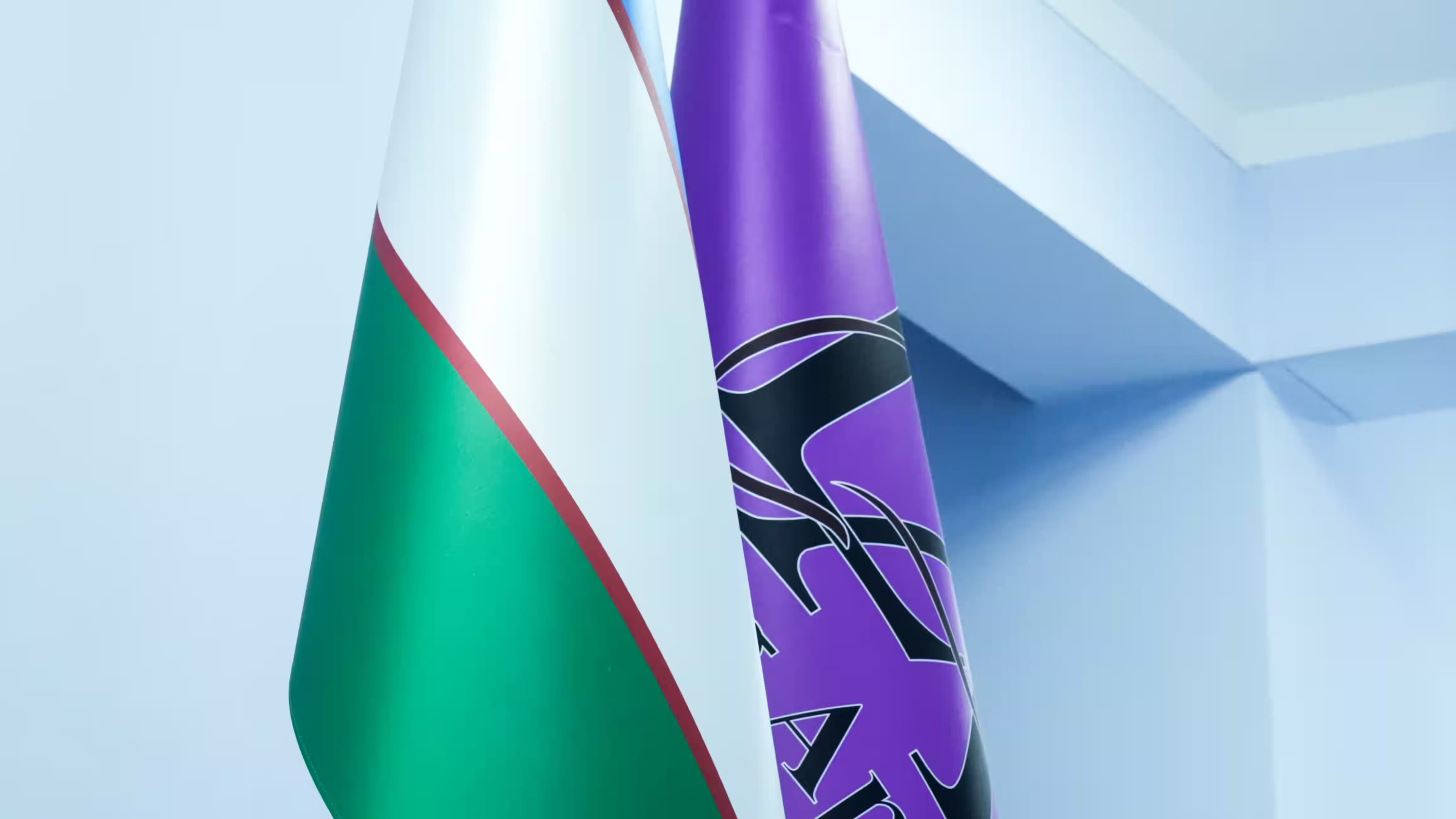 International flags