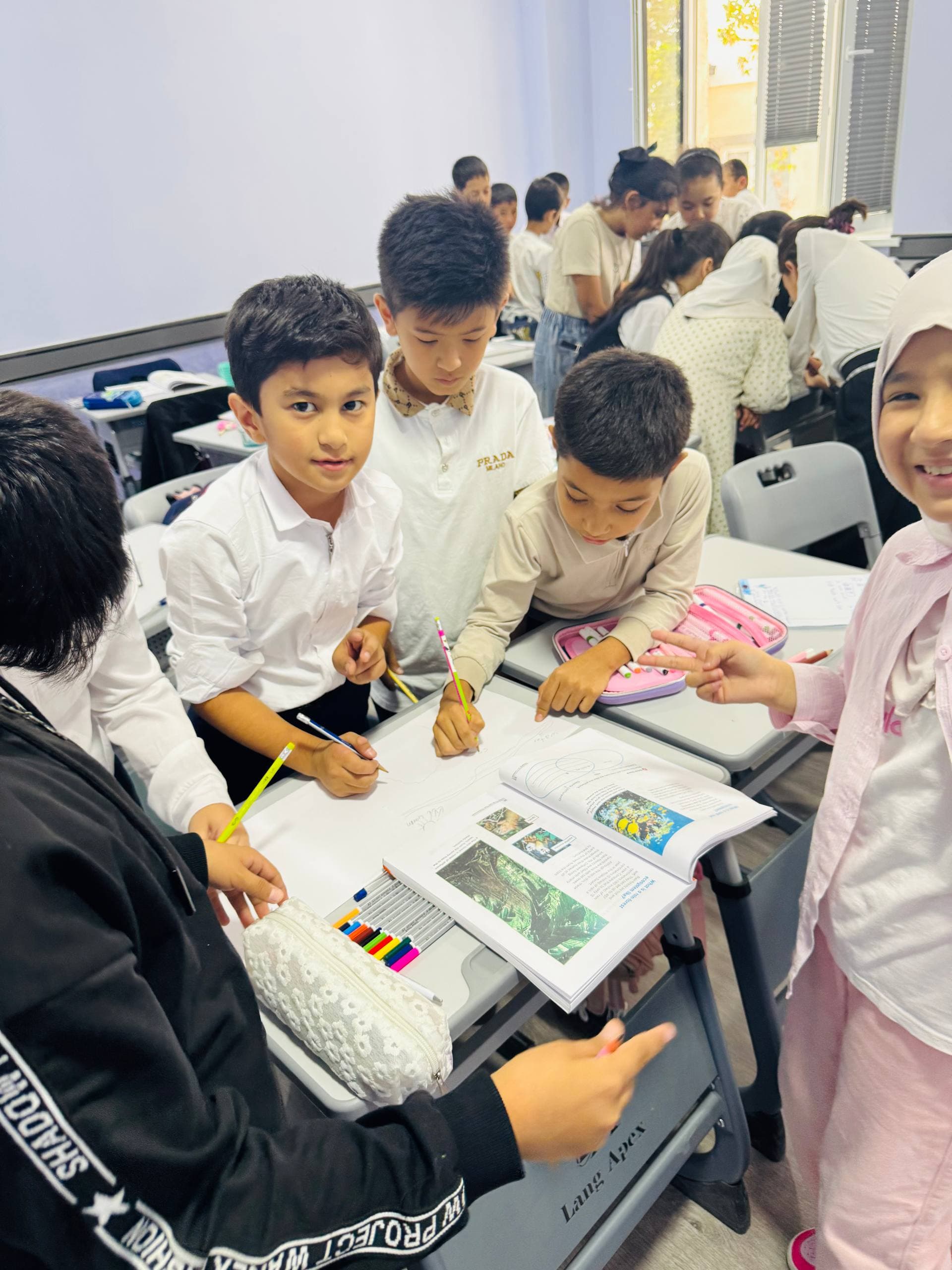Students teamwork